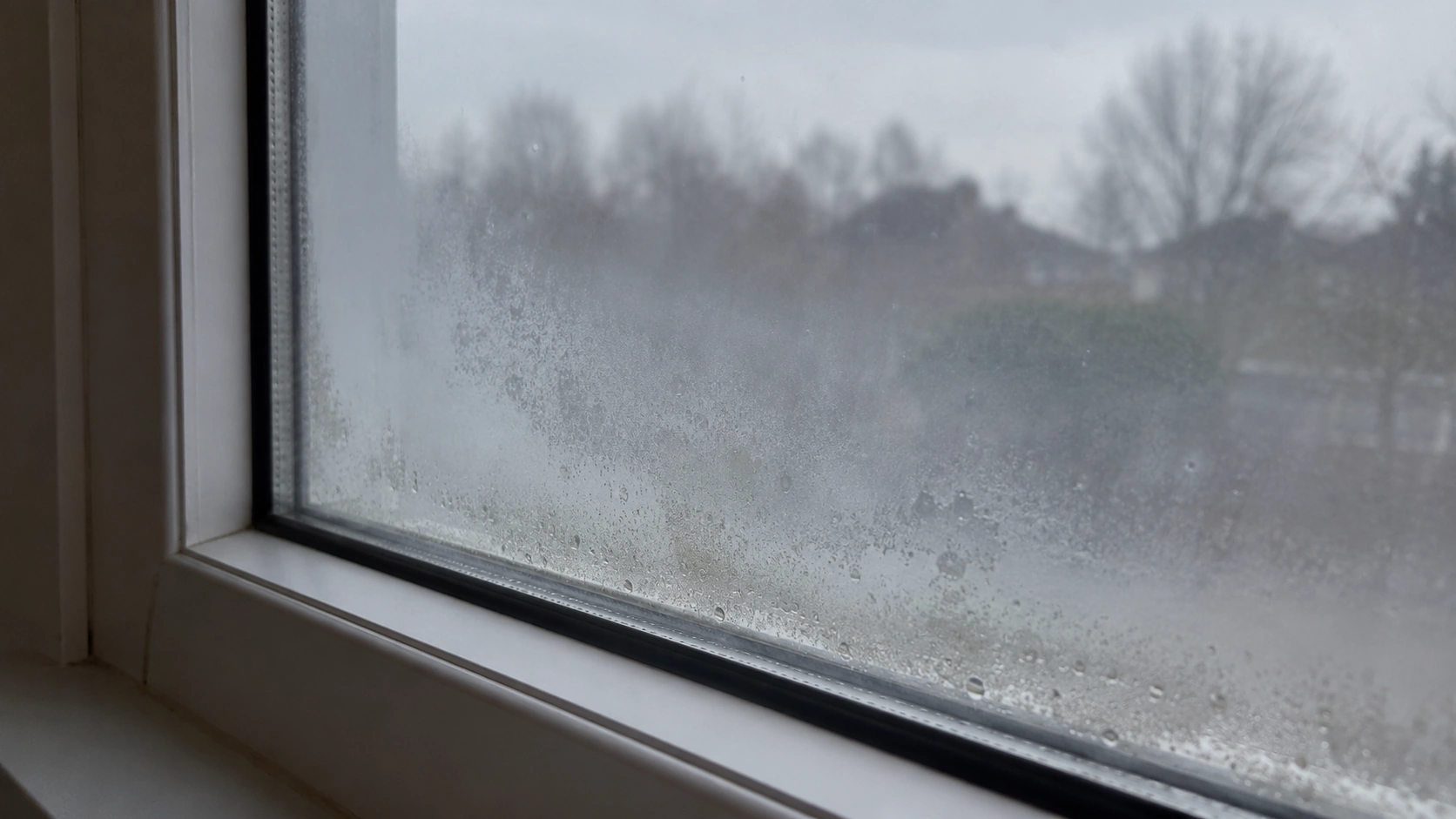 Double-pane window with fog trapped between the glass, showing a failed insulated seal